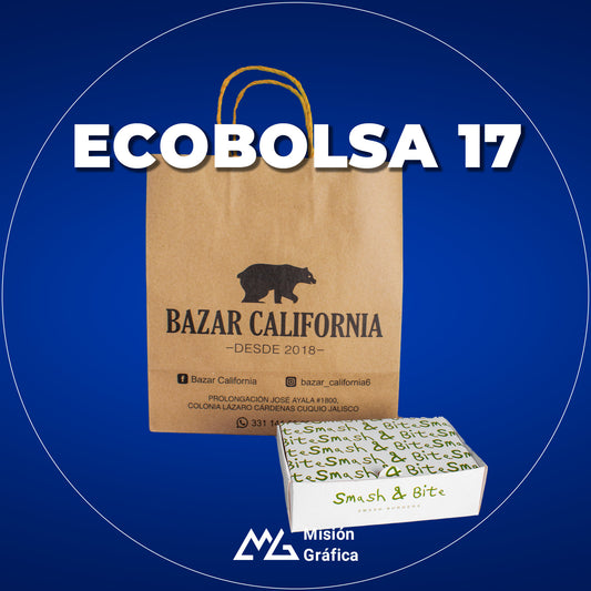 ECOBOLSA 17